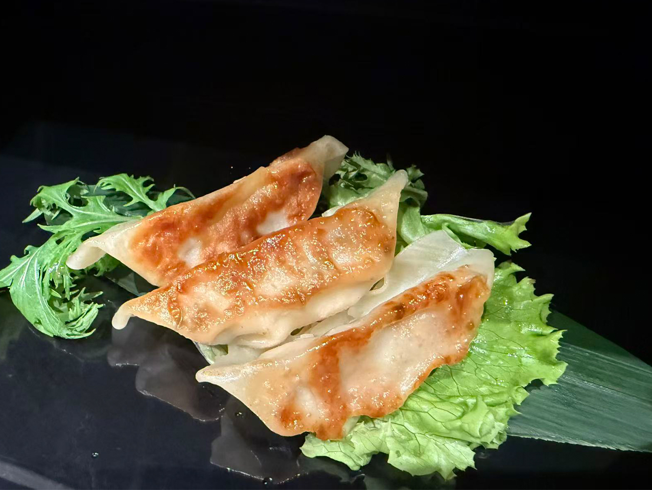 Gyoza a la plancha /4pz